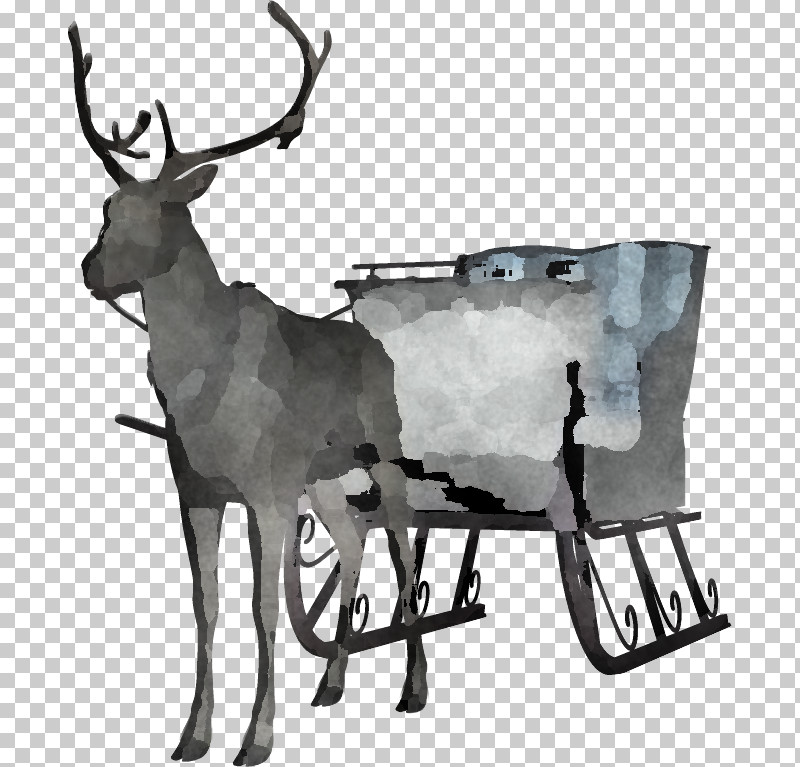 Reindeer PNG, Clipart, Antelope, Antler, Deer, Deer Hunting, Elk Free PNG Download