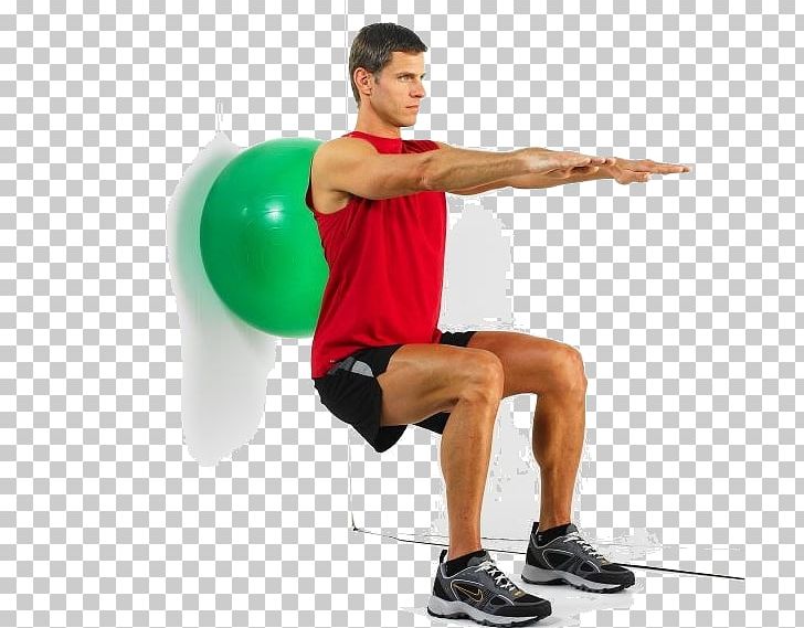 Exercise Balls Physical Fitness Squat Medicine Balls PNG, Clipart, Abdomen, Arm, Balance, Ball, Bench Free PNG Download