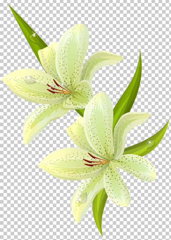 Napkin Paper Flower Painting Decoupage PNG, Clipart, Art, Clipart, Decorative Arts, Decoupage, Easter Lily Free PNG Download