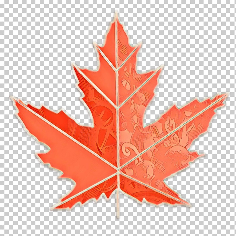 Maple Leaf PNG, Clipart, Black Maple, Leaf, Maple, Maple Leaf, Plane Free PNG Download