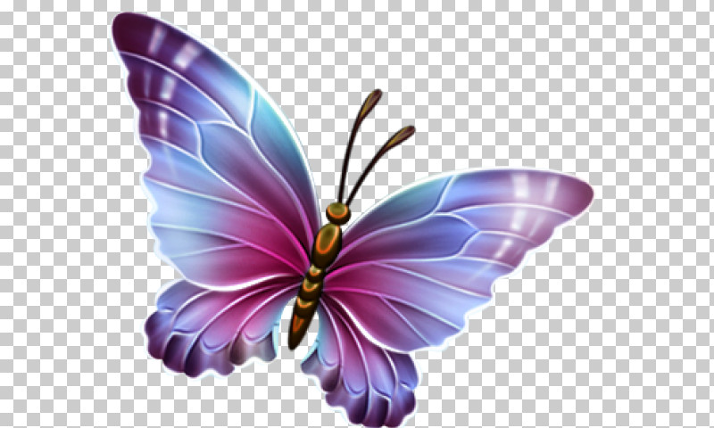 Butterfly Insect Moths And Butterflies Purple Violet PNG, Clipart, Butterfly, Insect, Moths And Butterflies, Petal, Pink Free PNG Download