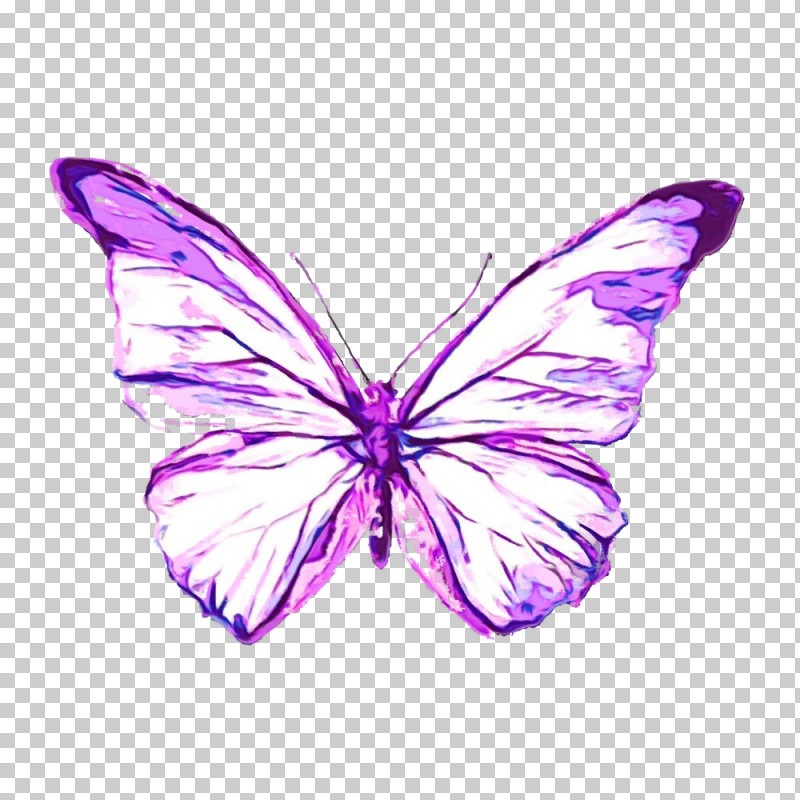 Butterfly Moths And Butterflies Insect Purple Violet PNG, Clipart, Butterfly, Insect, Moths And Butterflies, Paint, Pink Free PNG Download