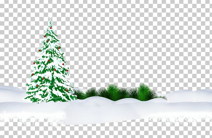 Christmas Tree Snow PNG, Clipart, Christmas Decoration, Christmas Frame, Christmas Lights, Computer Icons, Computer Software Free PNG Download