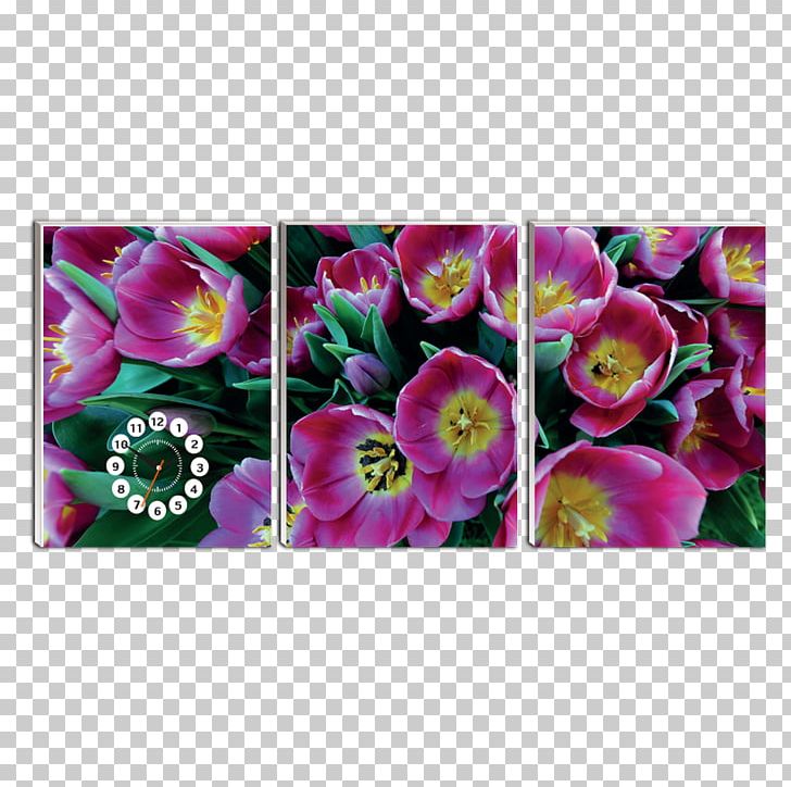 Petal Tulip Flower Blume Peony PNG, Clipart, Blume, Divinity, Flora, Floral Design, Flower Free PNG Download