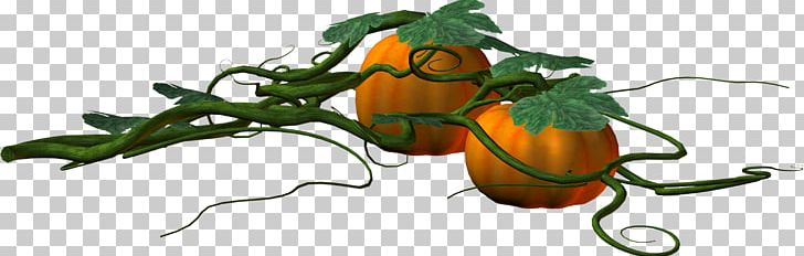 Pumpkin Orange Leaf PNG, Clipart, Autumn Leaves, Banana Leaves, Branch, Creative Background, Designer Free PNG Download