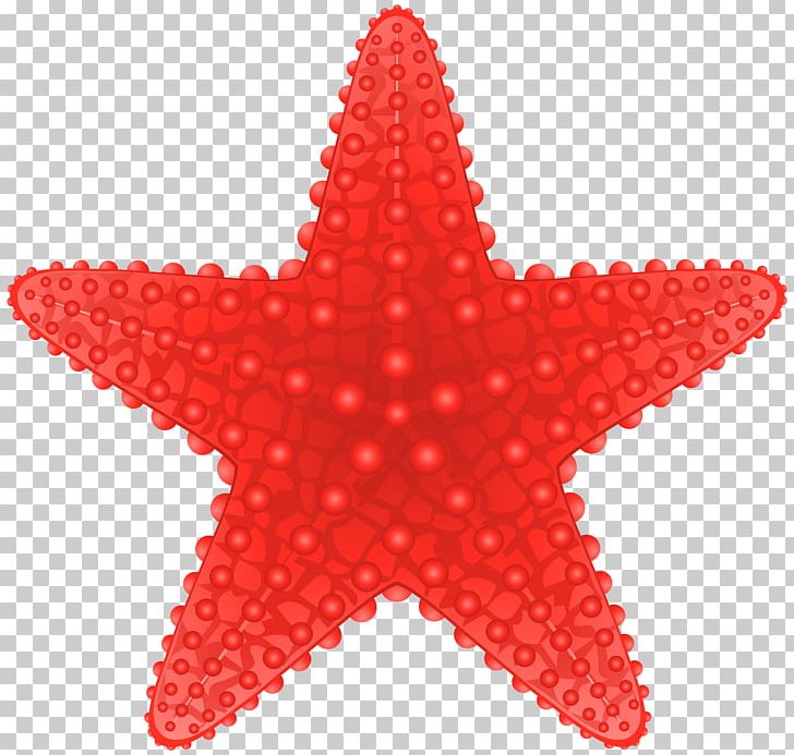 Starfish PNG, Clipart, Computer Icons, Drawing, Echinoderm, Euclidean Vector, Invertebrate Free PNG Download