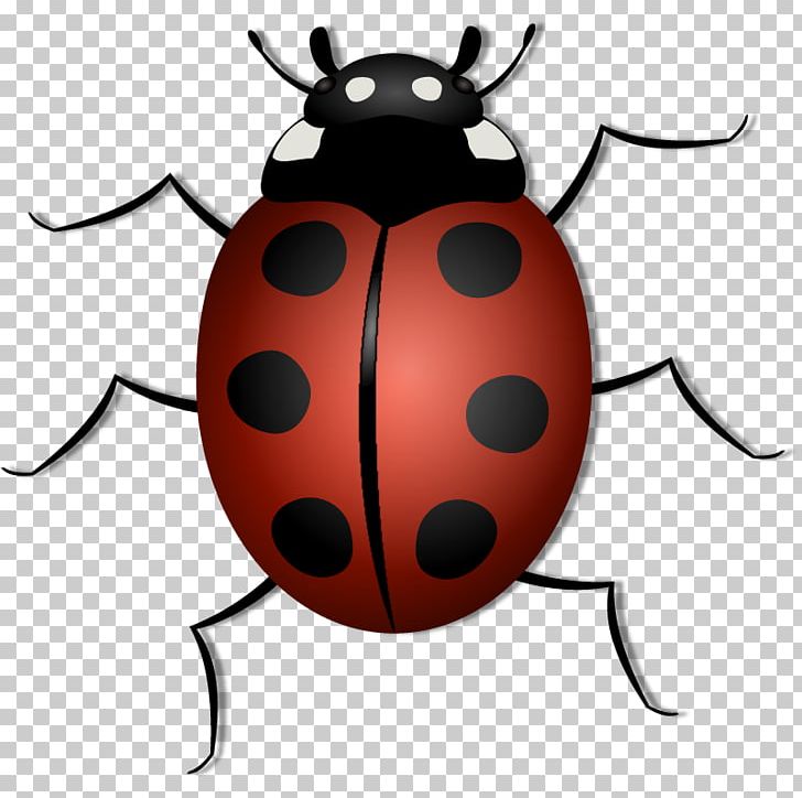 Insect PNG, Clipart, Beetle, Blog, Cartoon, Cute Ladybug, Drawing Free PNG Download