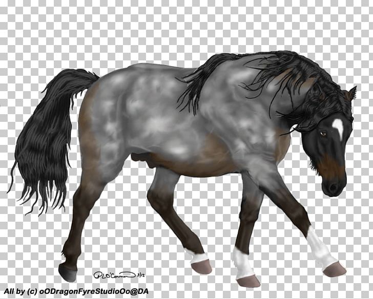 Mane Mustang Stallion Mare Pony PNG, Clipart,  Free PNG Download