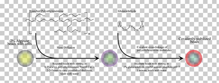 Brand Line Angle Technology PNG, Clipart, Angle, Brand, Diagram, Drugdelivery, Line Free PNG Download