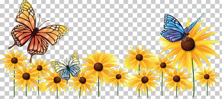 Butterfly Common Sunflower Insect Pollinator PNG, Clipart, Arthropod, Brush Footed Butterfly, Butterflies And Moths, Butterfly, Common Sunflower Free PNG Download