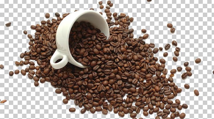 Instant Coffee Tea Coffee Bean Coffee Roasting PNG, Clipart, Bean, Beans, Beans Vector, Caffeine, Cocoa Bean Free PNG Download