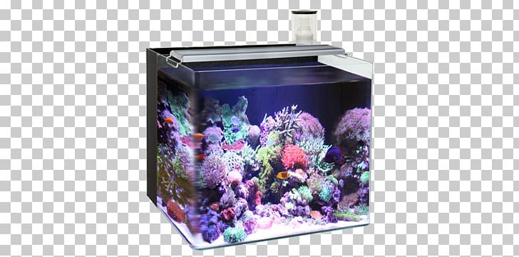 Reef Aquarium Nano Aquarium Light Liter PNG, Clipart, Aquarium, Aquascaping, Fish, Lamp, Light Free PNG Download