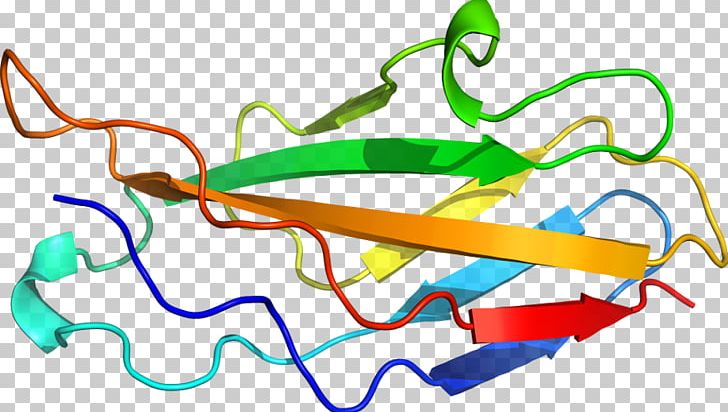 Organism PNG, Clipart, Area, Art, Artwork, Interleukin2, Line Free PNG Download