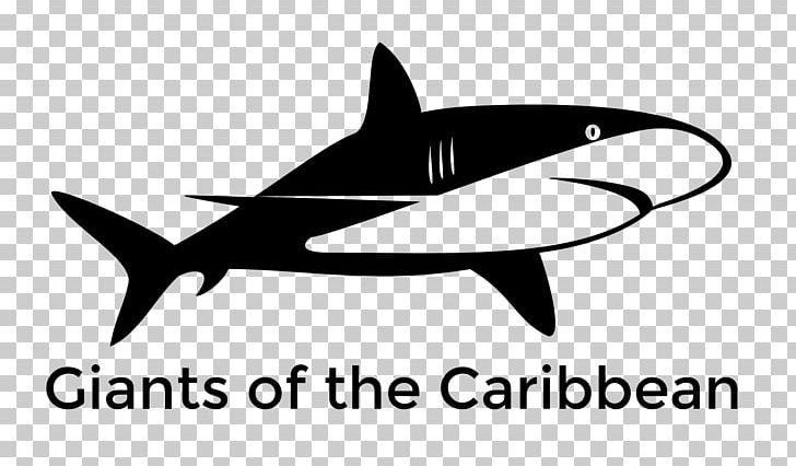 Requiem Sharks Basking Shark Shark Finning Blue Shark PNG, Clipart, Animals, Artwork, Basking Shark, Black And White, Blue Shark Free PNG Download