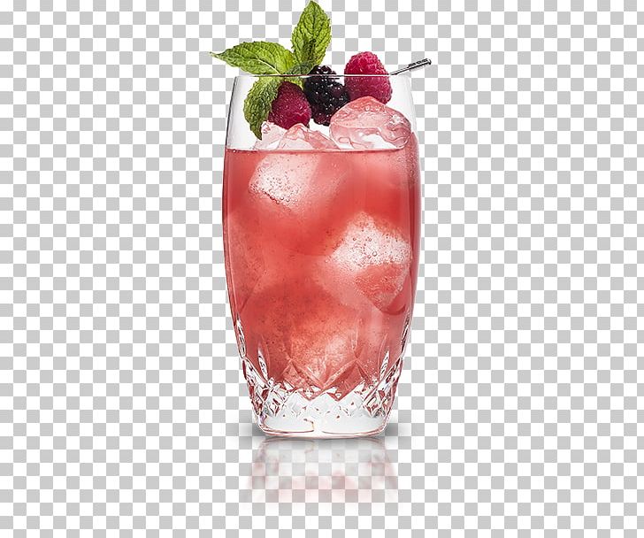 Cocktail Garnish Cointreau Rickey Elderflower Cordial PNG, Clipart, Bacardi Cocktail, Batida, Bay Breeze, Berry, Cocktail Free PNG Download