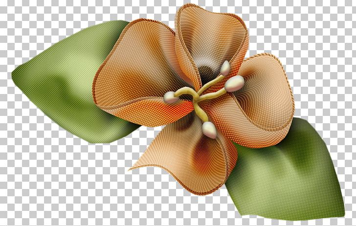 Cut Flowers Artificial Flower Flower Bouquet PNG, Clipart, Artificial Flower, Arumlily, Butterfly, Com, Cut Flowers Free PNG Download