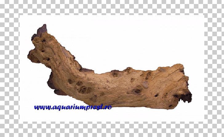 Driftwood Jaw PNG, Clipart, Driftwood, Jaw, Wood, Wood Decoration Free PNG Download