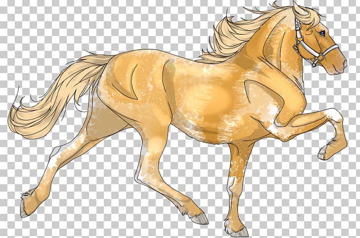 Foal Pony Stallion Mare Colt PNG, Clipart, Bridle, Cartoon, Colt, Fictional Character, Foal Free PNG Download