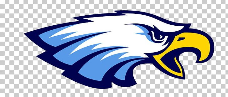 Walnut Hills High School Cincinnati Hills Christian Academy Etowah High School National Secondary School PNG, Clipart, Bald Eagle, Beak, Bird, Bird Of Prey, Christian School Free PNG Download