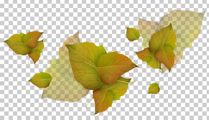 Portable Network Graphics Psd Leaf PNG, Clipart, Autumn, Download, Encapsulated Postscript, Fleur, Flower Free PNG Download