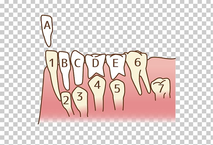 Tooth かさま歯科クリニック Dentist PNG, Clipart, Area, Arm, Cartoon, Dentist, Dentistry Free PNG Download