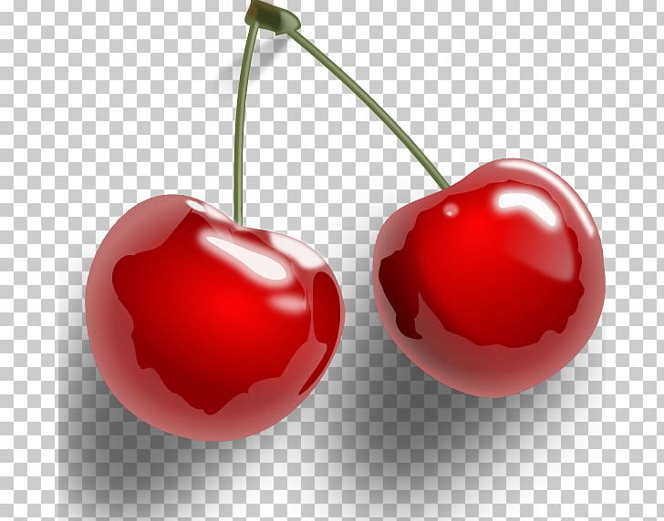 Cherry Pie Black Cherry PNG, Clipart, Acerola, Acerola Family, Black Cherry, Cherries, Cherry Free PNG Download