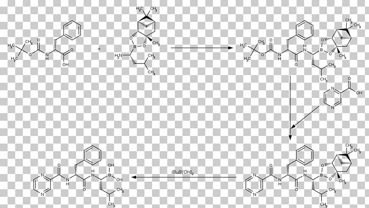 Glipizide Gliclazide Glibenclamide Glimepiride White PNG, Clipart, Angle, Area, Black And White, Circle, Diagram Free PNG Download