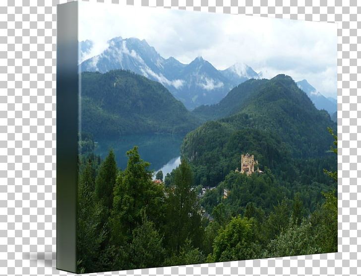 Mount Scenery Neuschwanstein Castle Nature Reserve Wilderness PNG, Clipart, Alps, Biome, Forest, Highland, Hill Station Free PNG Download