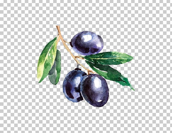 Olive Branch Watercolor Painting Drawing PNG, Clipart, Bilberry, Blueberries, Blueberry, Blueberry Cake, Blueberry Juice Free PNG Download