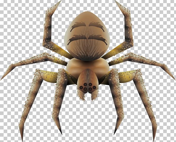 Spider Tarantula Euclidean PNG, Clipart, Animal, Arachnid, Araneus, Arthropod, Atmosphere Free PNG Download