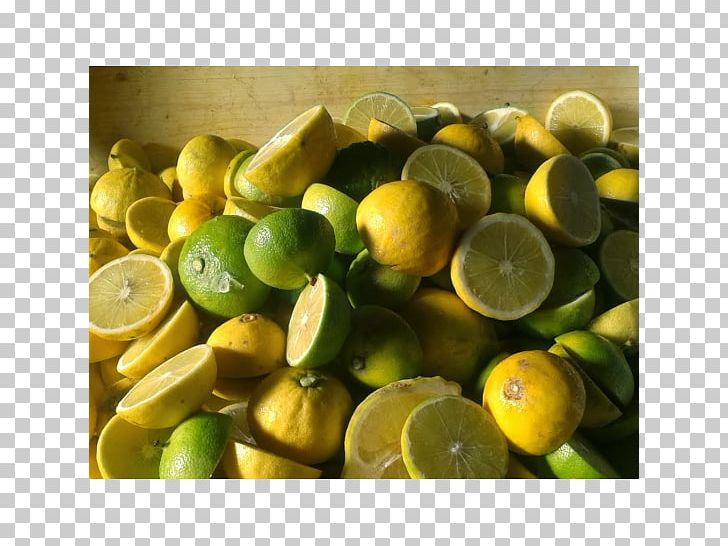 Sweet Lemon Key Lime Bergamot Orange Persian Lime PNG, Clipart, Bergamot, Bergamot Orange, Bitter Orange, Calamondin, Citric Acid Free PNG Download