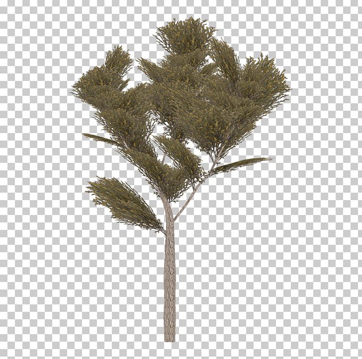 Twig Plant Stem PNG, Clipart, Branch, Forest Rhapsody, Grass, Others, Plant Free PNG Download