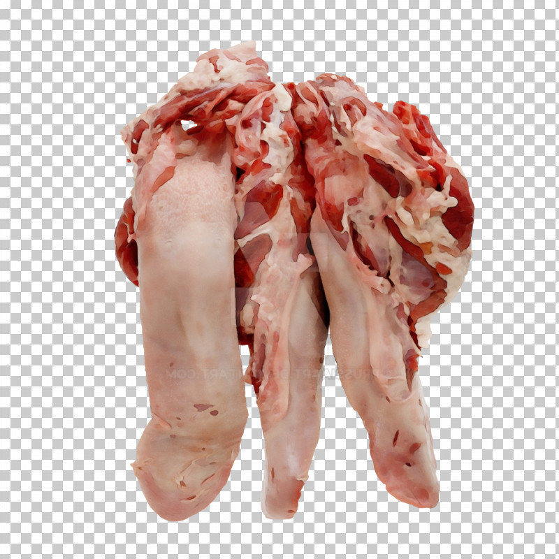 Red Meat Back Bacon Goat Meat Veal Lamb PNG, Clipart, Animal Fat, Back Bacon, Bacon, Boston Butt, Goat Meat Free PNG Download