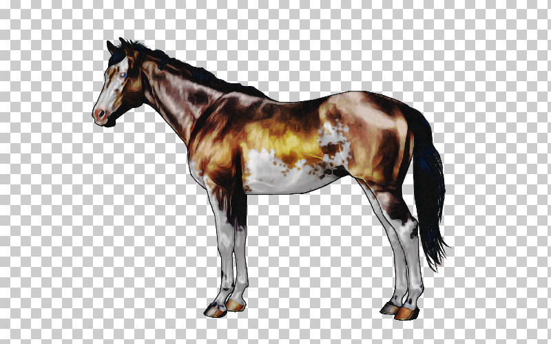 Horse Animal Figure Sorrel Mare Stallion PNG, Clipart, Animal Figure, Horse, Liver, Mane, Mare Free PNG Download
