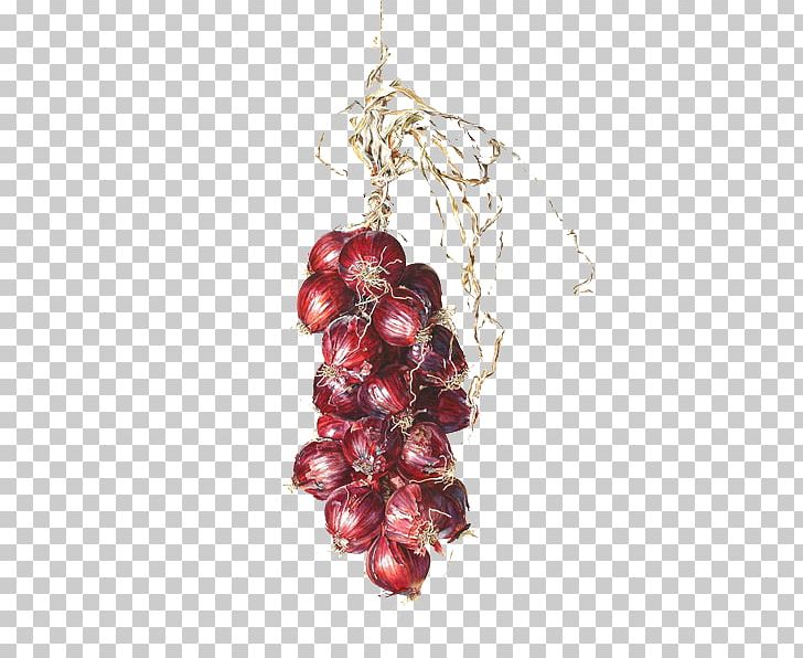 Grape Food Fruit Painting Illustration PNG, Clipart, Cherry, Cherry Blossom, Christmas Decoration, Christmas Ornament, Food Free PNG Download