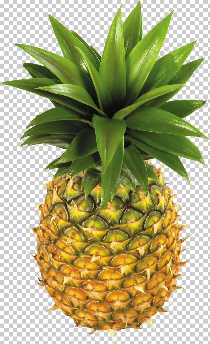 Pineapple Fruit PNG, Clipart, Abnehmtagebuch, Ananas, Australia, Bromeliaceae, Chunk Free PNG Download