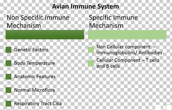 Avian Immune System Adaptive Immune System Immunity Gut Flora PNG, Clipart, Adaptive, Angle, Antibiotics, Area, Avian Influenza Free PNG Download
