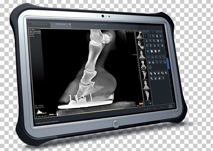 Radiology Veterinarian Tablet Computers Veterinary Medicine Medical Imaging PNG, Clipart, Computer Hardware, Documentation, Electronics, Gadget, Hardware Free PNG Download