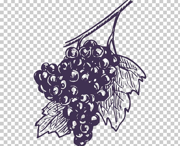 Red Wine White Wine Cabernet Sauvignon Grape PNG, Clipart, Art, Artwork, Black And White, Branch, Fictional Character Free PNG Download