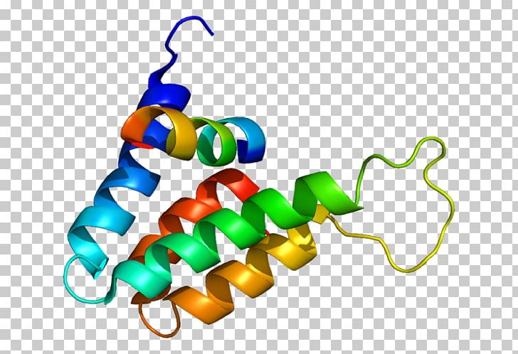 SIN3B Protein Gene HDAC1 IKZF1 PNG, Clipart, Amphiphile, Artwork, Body Jewelry, Cell, Coding Region Free PNG Download