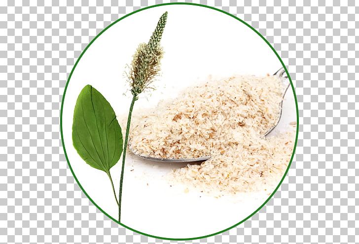 Dietary Supplement Plantago Ovata Psyllium Schluss Mit Reizdarm: Richtige Diagnose PNG, Clipart, Commodity, Constipation, Dietary Supplement, Fibre Supplements, Hemorrhoid Free PNG Download