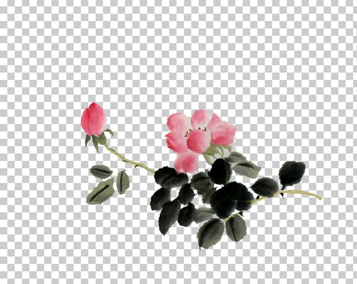 Petal Rose Family PNG, Clipart, Blossom, Branch, Elk, Flower, Flowering Plant Free PNG Download