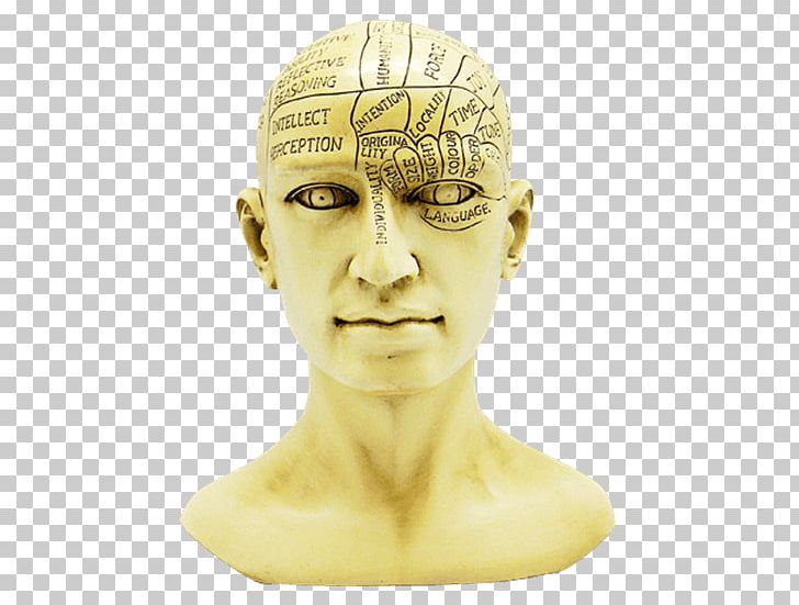 Phrenology Skull Forehead Jaw PNG, Clipart, Classical Sculpture, Fantasy, Figurine, Forehead, Head Free PNG Download