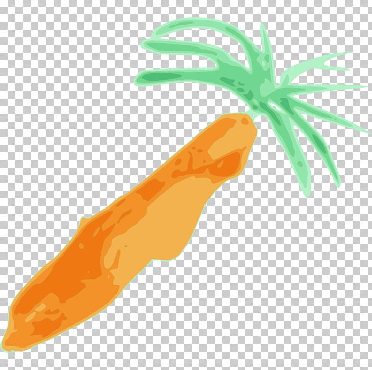 Baby Carrot PNG, Clipart, Art, Baby Carrot, Carrot, Carrot Pictures, Food Free PNG Download