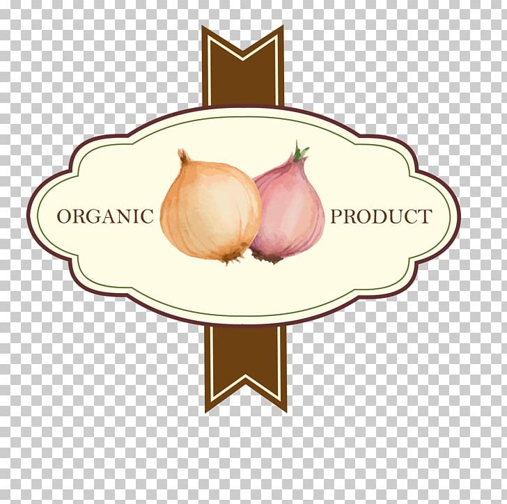 Shallot Illustration PNG, Clipart, Cartoon, Christmas Tag, Drawing, Food, Gift Tag Free PNG Download