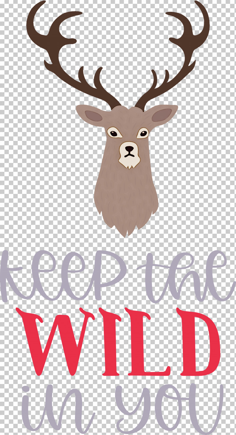 Keep Wild Deer PNG, Clipart, Antler, Biology, Deer, Keep Wild, Meter Free PNG Download