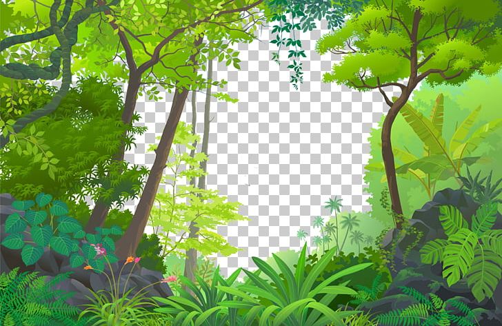 Jungle Euclidean Tropical Rainforest PNG, Clipart, Biome, Branch, Cartoon,  Cartoon Arms, Cartoon Character Free PNG Download
