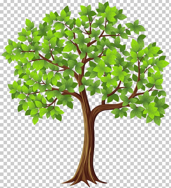 Tree PNG, Clipart, Art, Birch, Branch, Clipart, Clip Art Free PNG Download