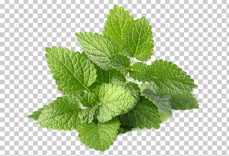 Herb Flavor Leaf Vegetable Food Peppermint PNG, Clipart, Achillea Millefolium, Concentrate, Diet, Flavor, Food Free PNG Download