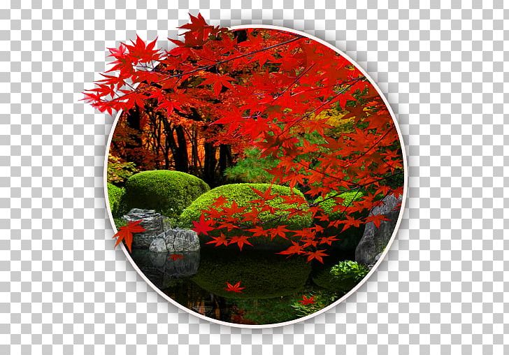 Japanese Rock Garden The Japanese Garden Android PNG, Clipart, Android, Autumn, Flora, Flower, Garden Free PNG Download